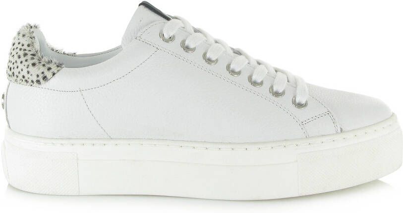 Maruti Witte Veterschoenen Ted Leather