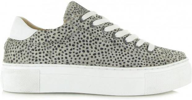 Maruti Sneakers online kopen? Vergelijk op Damesschoenen.nl