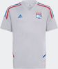 Adidas Olympique Lyonnais Condivo 22 Training Basisschool Jerseys/Replicas online kopen