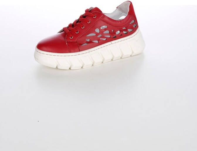 alba moda Muiltje Zwart