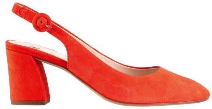 Högl Heeled Shoes , Oranje, Dames