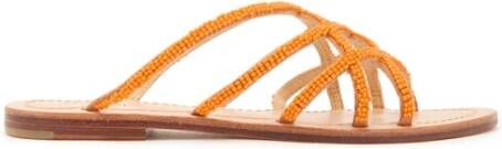 Maliparmi Schuifregelaars , Oranje, Dames