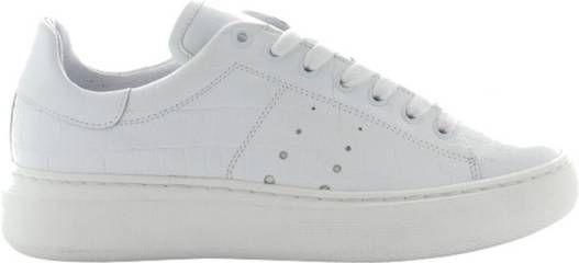 Grijze TANGO Schoenen online kopen? Vergelijk op Damesschoenen.nl