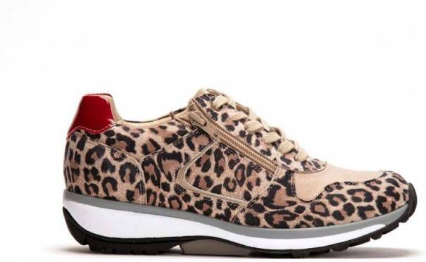 XSensible 30042 2.625 Jersey Leopard Sneaker Veterschoen