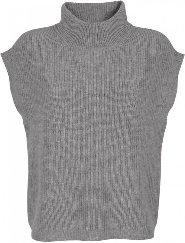 alba moda Spencer van hoogwaardig zuiver kasjmier Lichtgrijs