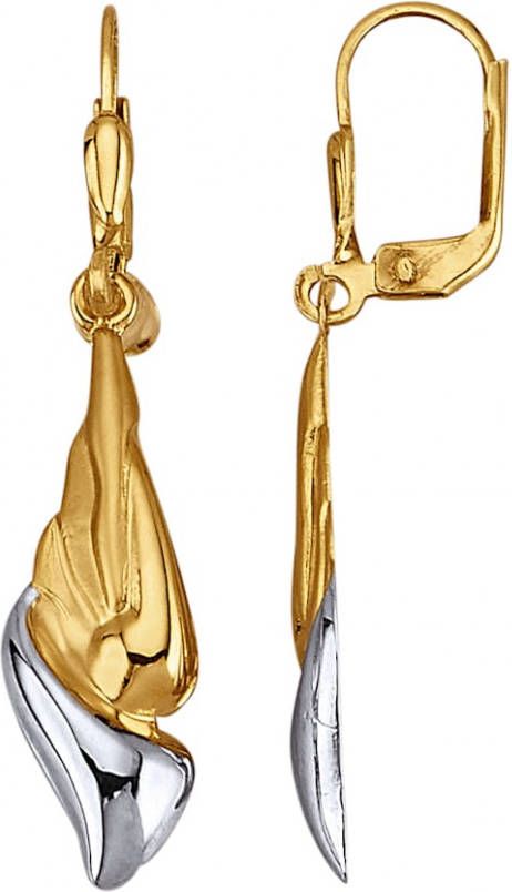 KLiNGEL Oorbellen van 9 kt. Geelgoudkleur