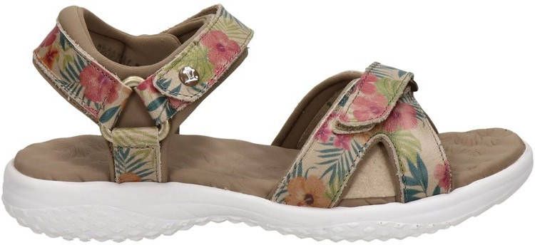 Panama Jack Noja Tropical sandalen