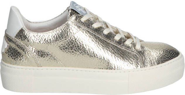 Floris van bommel Vinni 05.35 Gold G Wijdte Lage sneakers