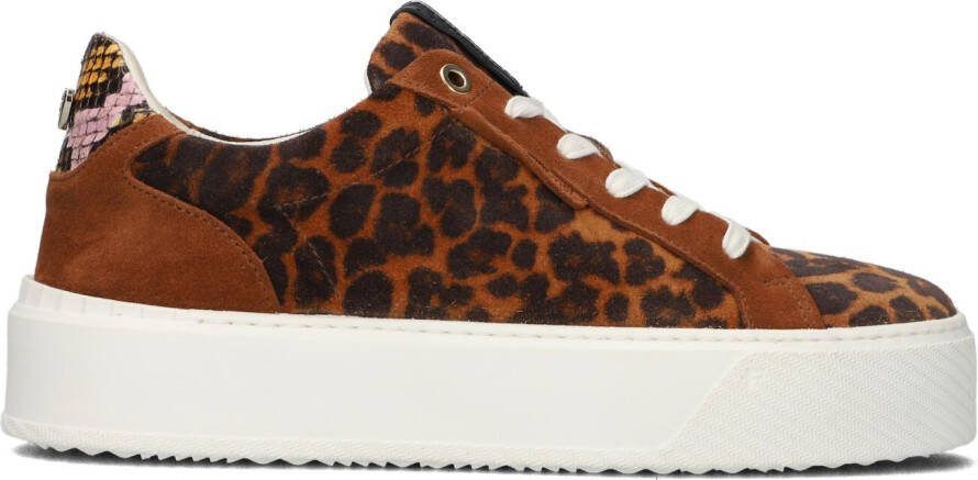 Floris Van Bommel Cognac Lage Sneakers Sfw 10105