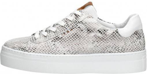 Aqa Dames Veterschoenen