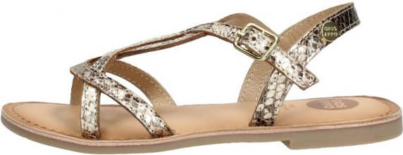 Gioseppo Biscoe Fuchsia Fuchia