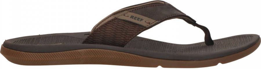 Reef Slippers Santa Ana Bruin