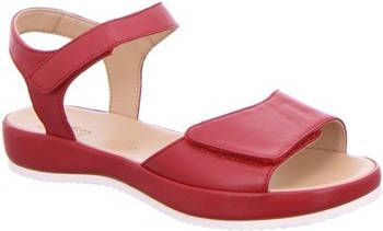 Ara Sandalen