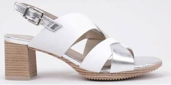Dorking Sandalen D8779 LALA