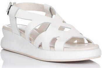 Dorking Sandalen MANDEN D9087