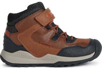Geox Laarzen