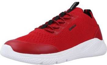 Geox Lage Sneakers J SPRINTYE BOY A