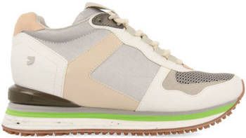Gioseppo Sneakers F