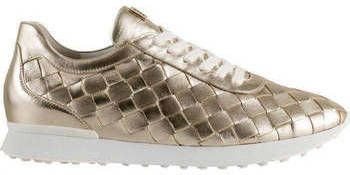 Högl Sneakers 1 102341 7500