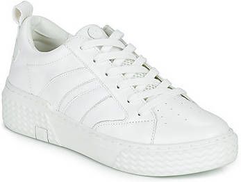 Palladium Hoge Sneakers EGO 03 LEA~WHITE/WHITE~M