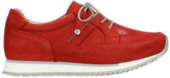 Blauwe Wolky Veterschoenen E Walk Stretch om te zoenen