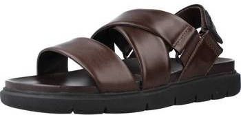 Stonefly Sandalen HYDRA 3 NAPPA LTH