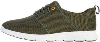 Timberland Sneakers 182923