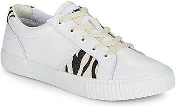 Timberland Lage Sneakers SKYLA BAY OXFORD