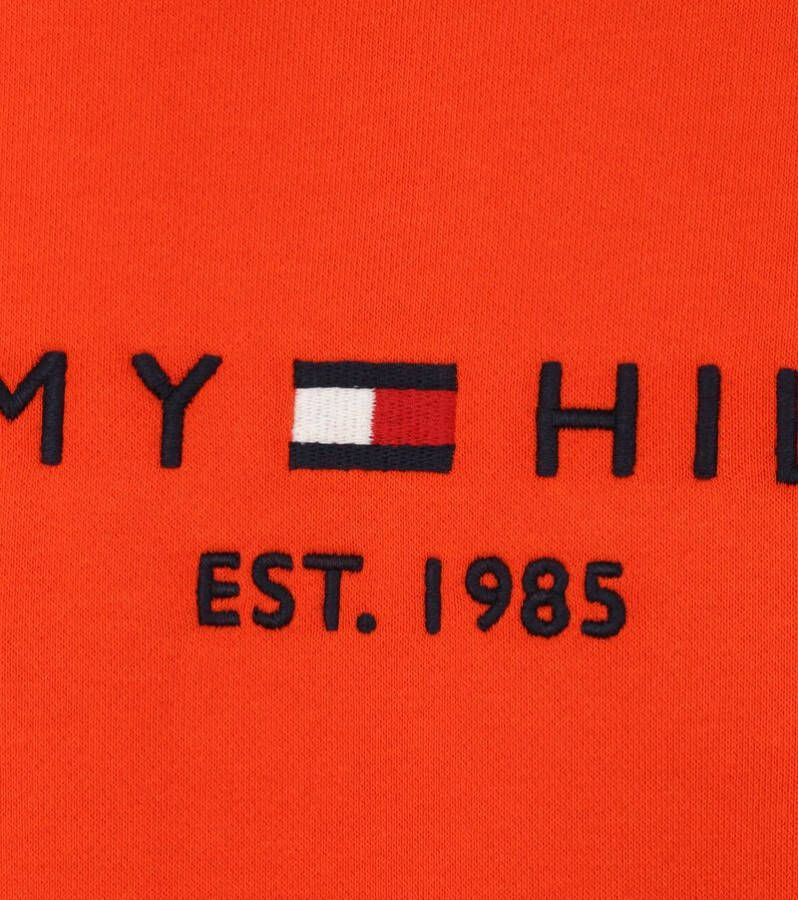 Tommy Hilfiger Sweater tommy logo sweatshirt mw0mw11596/scz