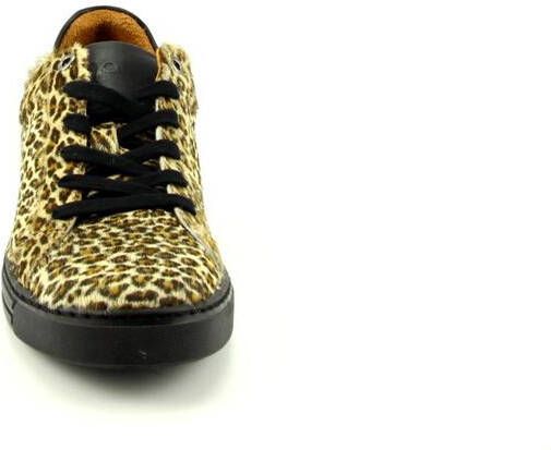 AQA Shoes A5841