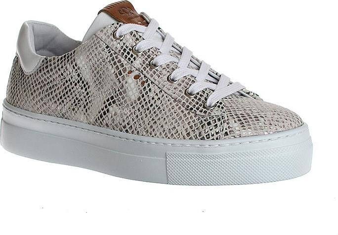 AQA Shoes A7192