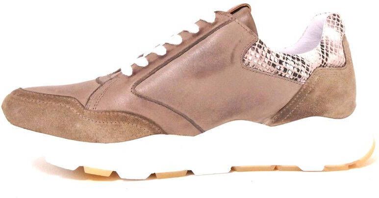 AQA Shoes A7261