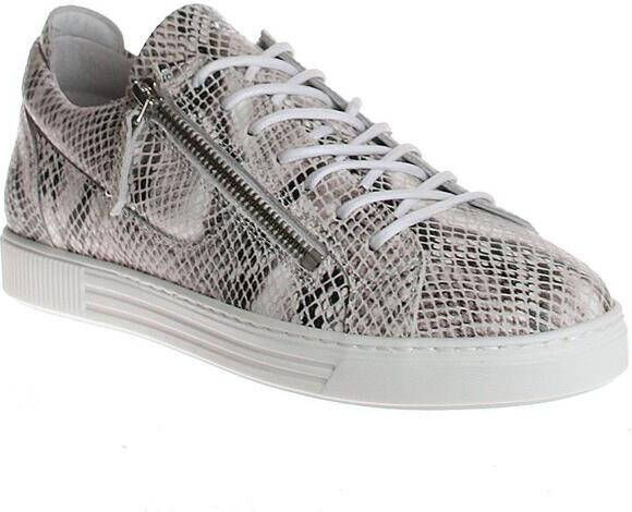 AQA Shoes A7666