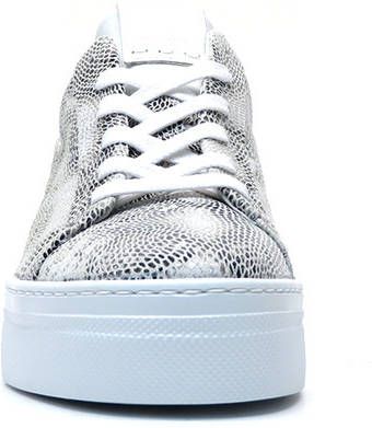 AQA Shoes A7676