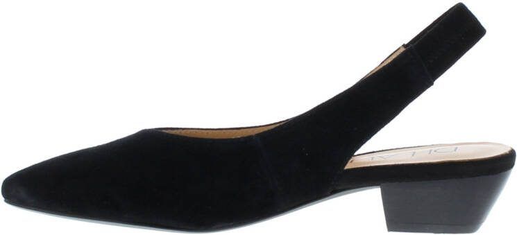 Di Lauro Pumps online kopen? Vergelijk op Damesschoenen.nl