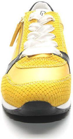 DL Sport 4234