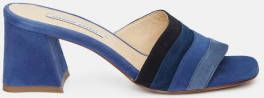 Fabienne Chapot Ted Mules Swirl Blohhak Suede , Blauw, Dames