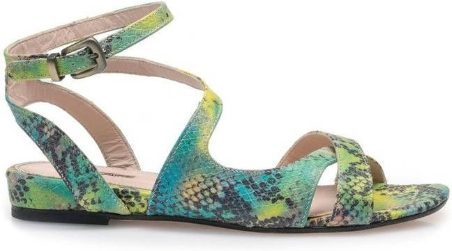 Floris van Bommel 85908