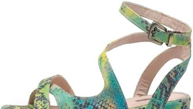 Floris van Bommel 85908