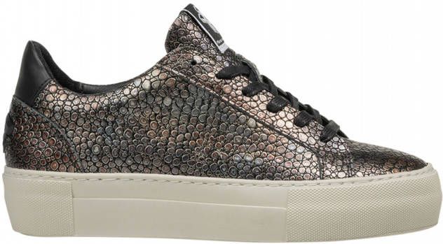 Floris van Bommel Vinni 05.24 multi g wijdte