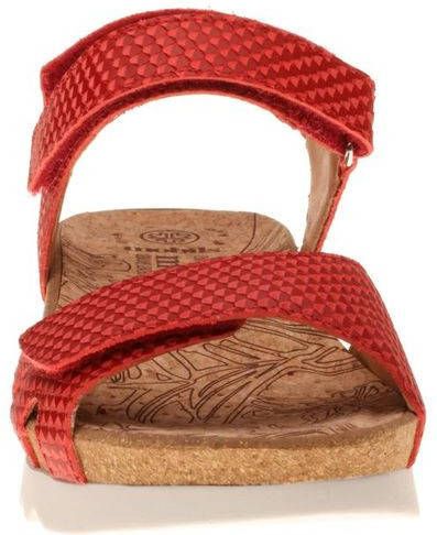 Mephisto Quirina tatou