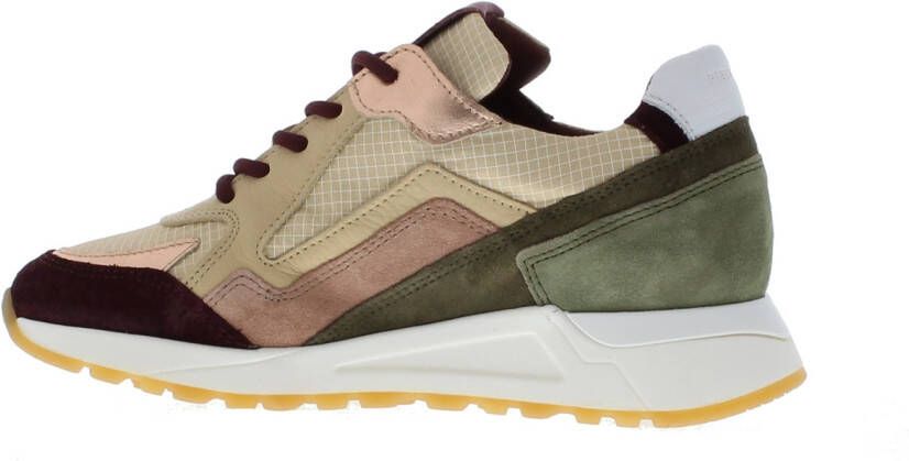 Piedi nudi 250712.03PN Bordeaux Beige Lage sneakers