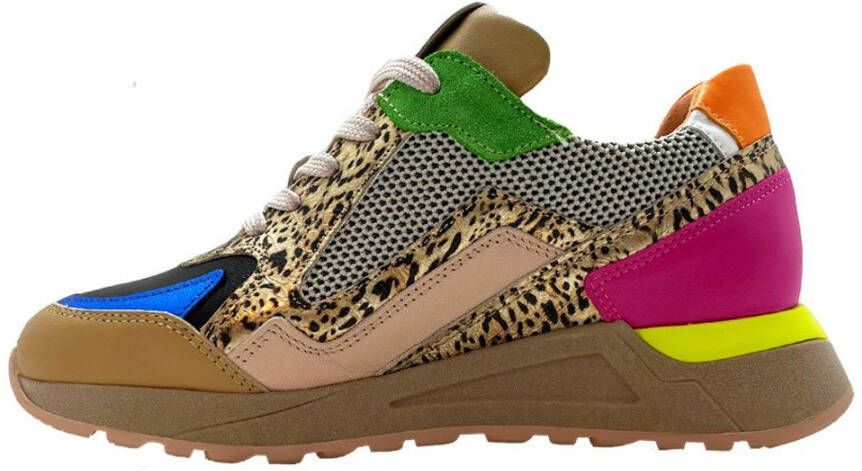 Piedi Nudi Multi Color Sneakers Taupe Multi