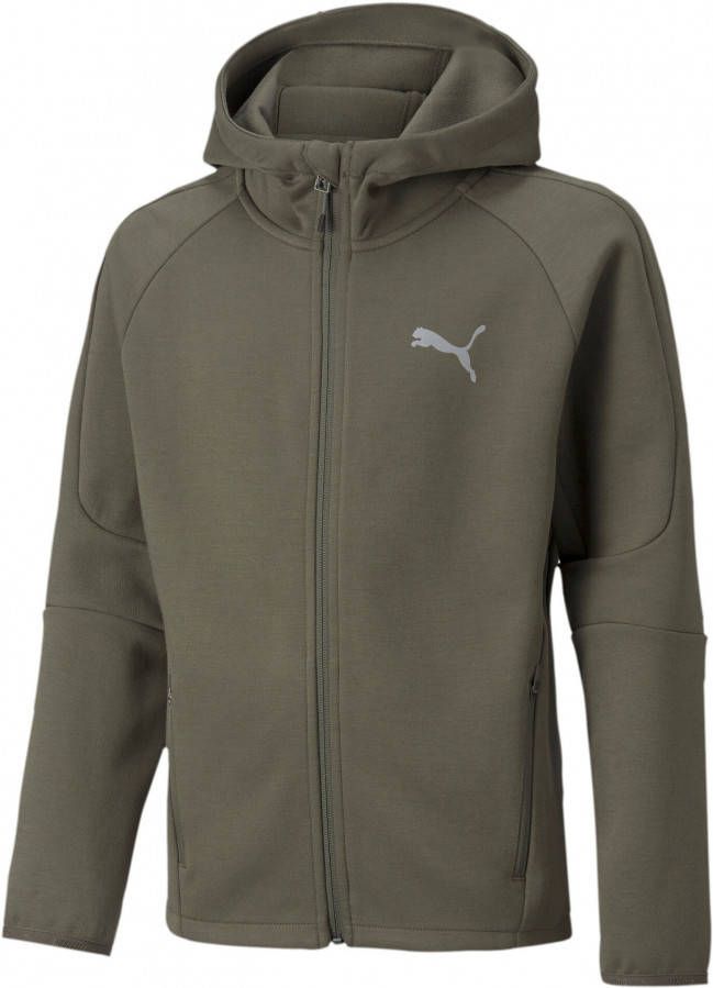 Puma Evostripe full zip hoodie 589194 44