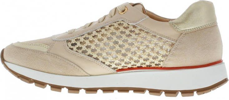 Rapid Soul Sneaker 106907