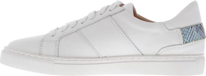 Rapid Soul Sneakers 105359