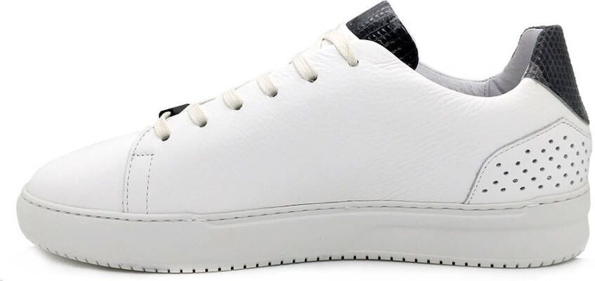 Rehab Witte Veterschoenen Teagan Liz