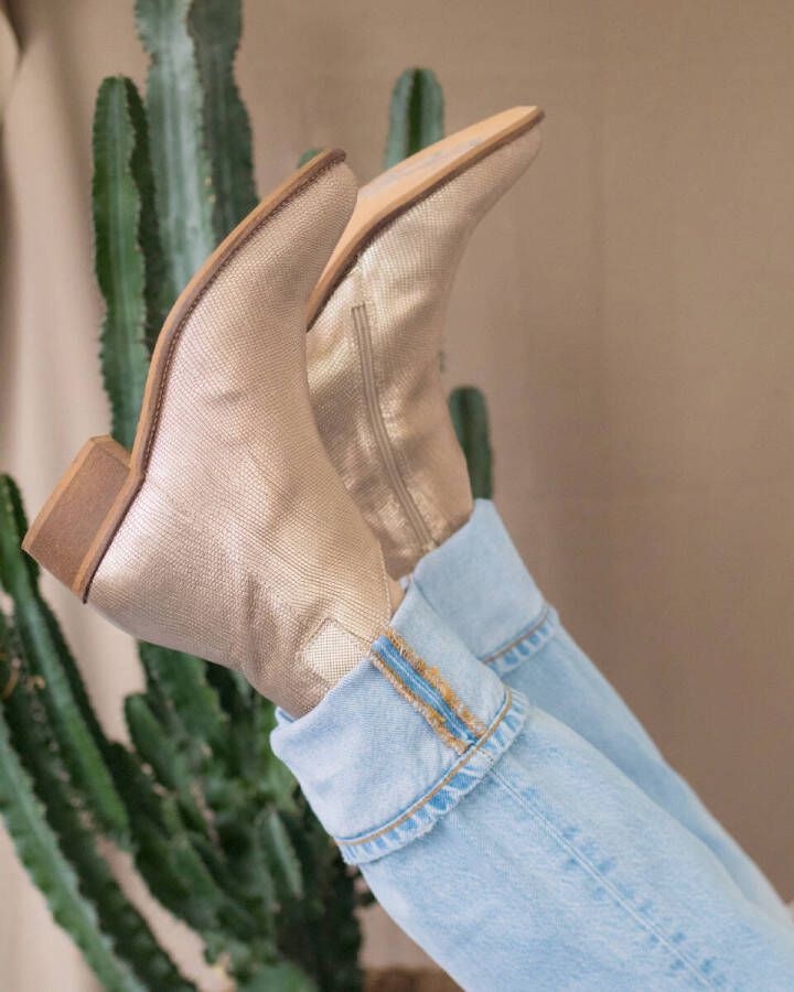 Roberto d'Angelo Cowboy laarzen plata