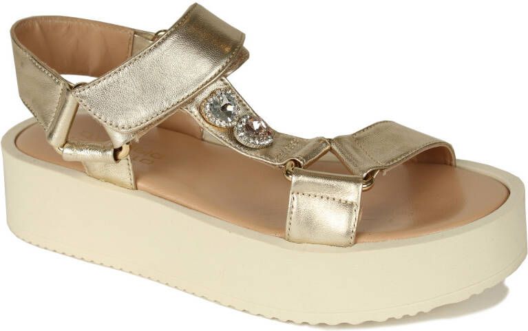 Roberto d'Angelo Motta gold