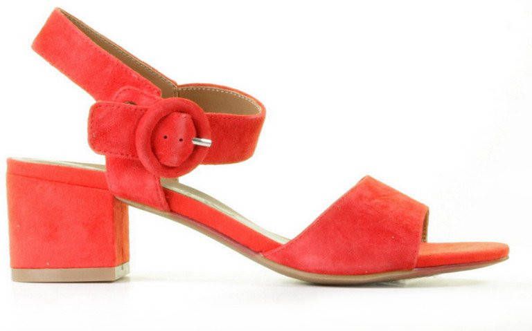 Di lauro Kaitlyn Rood